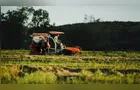 Agro capta R$ 7,7 bilhões do plano contra tarifa dos EUA