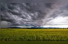 Avanço do El Niño acende alerta para lavouras de trigo no Sul do país