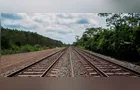 PG aposta na Malha Sul para projetar nova fase ferroviária