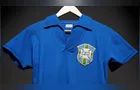Camisa do Pelé da final da Copa de 1958 é leiloada por quase R$ 25 milhões