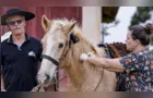Araucária é destaque no Estado por vacinação gratuita de cavalos e muares