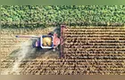 Clima no Paraná prejudica o milho, o feijão e reduz plantio de trigo