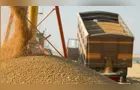 Conab projeta safra de grãos de 360,8 milhões de toneladas
