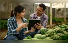 Cooperativas agropecuárias movimentam R$ 487,3 bilhões no Brasil