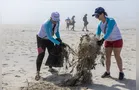 Litoral do Paraná recebe grande ação de limpeza de praias e manguezal