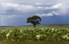 Crédito rural financiou R$ 92,4 bi em áreas com alertas ambientais