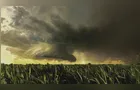 Embrapa lança guia para região Sul enfrentar o El Niño