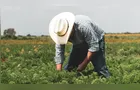 Escassez de mão de obra é principal desafio para produtores