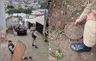 Polícia descobre esconderijo do crime e prende traficantes em morro em Curitiba