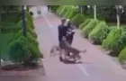 Homem presencia agressão a cachorro e confronta rapaz por maus tratos