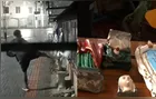 Loja de artigos religiosos é vandalizada pela terceira vez em Londrina; confira vídeo