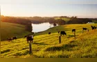 Mudança no licenciamento ambiental impacta produção agropecuária no PR