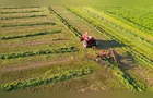 Paraná garante 4º lugar no VBP agropecuário do país