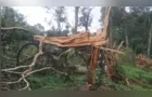 Antes de novo tornado, Piraí do Sul teve fenômeno com danos em 2023