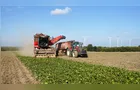 Recuperação judicial no agro cresceu 66% em um ano no país
