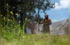 Prefeitura de PG abre edital de contratação de serviços de roçada e limpeza
