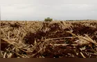 Sistema FAEP e IDR-Paraná promovem série de Dias de Campo