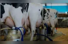 Torneio Leiteiro evidencia genética, manejo e produtividade no Agroleite 2026