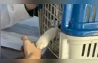 Vet-Móvel Paraná segue com agendamentos abertos para São José dos Pinhais