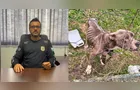 Duas pessoas são presas por maus-tratos a animais em Antônio Olinto