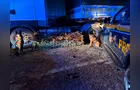 PRF localiza quase 300 kg de cocaína em carreta em Balsa Nova