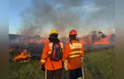 500 bombeiros participam do maior treinamento de combate a incêndios florestais