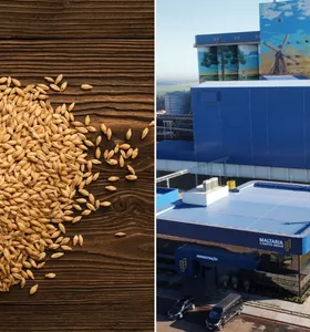 Boletim Agro revela importância de PG na produção nacional de malte