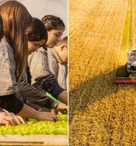 Boletim Agro traz oportunidade no Colégio Agrícola de PG