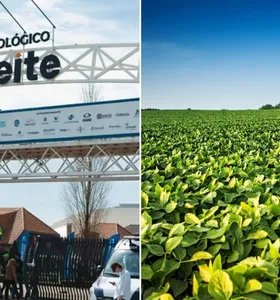 Boletim Agro revela resultado do Agroleite e mudanças nas safras do PR