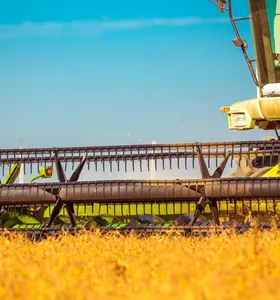 Agro cresce 2,8% no 2º trimestre, acima do ritmo do PIB brasileiro