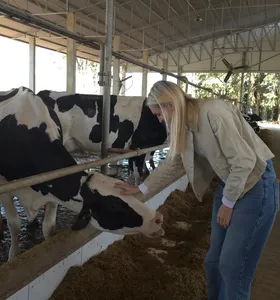 Cresol financia o crescimento da produção agropecuária na região