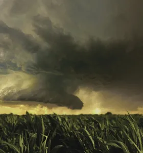 Embrapa lança guia para região Sul enfrentar o El Niño