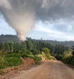 O rastro do tornado estendeu-se por, pelo menos, 17,3 km ao longo da zona rural de Piraí do Sul