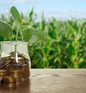 Inadimplência no agronegócio atinge 8,8% no 1º trimestre