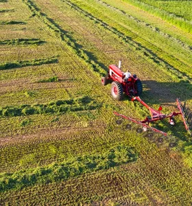 Paraná garante 4º lugar no VBP agropecuário do país