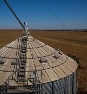 Produtores de milho defendem investimentos em armazéns e irrigação
