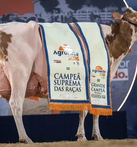 Agroleite: Holandesa Vermelha e Branca vence Suprema e entra para a Calçada da Fama