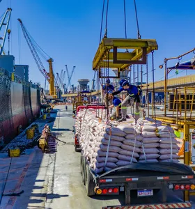 Porto de Paranaguá embarca mais de 127 mil toneladas de açúcar