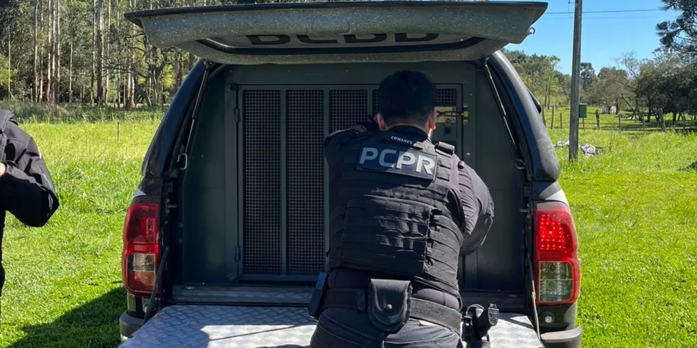 A Polícia Civil do Paraná reforça seu compromisso com a apuração de crimes