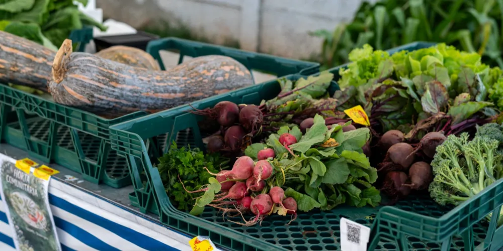 Projeto é voltado a segurança alimentar no município