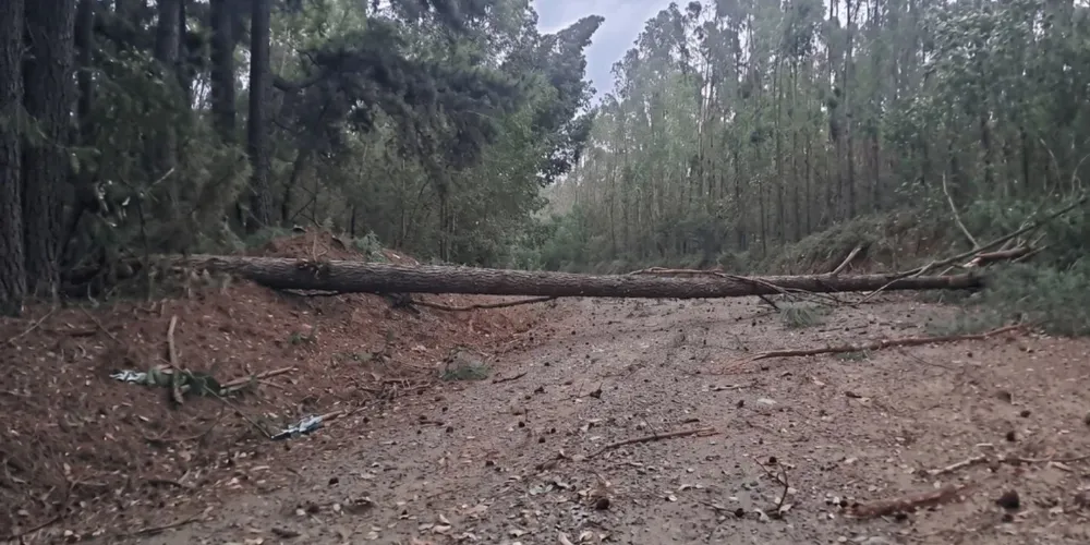 Uma das estradas ficou interditada pelo temporal