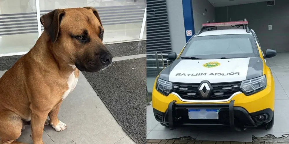 De acordo com a denúncia, testemunhas afirmaram que o cachorro não avançou e nem mordeu, apenas latiu