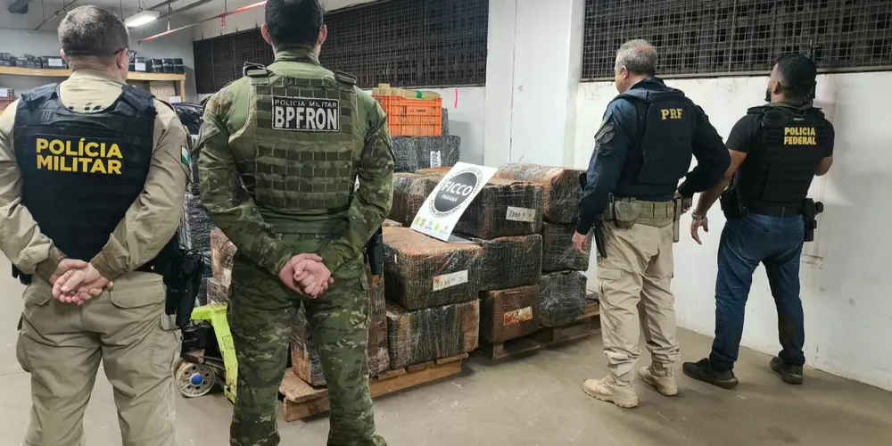 A droga foi encaminhada à Delegacia da Polícia Federal