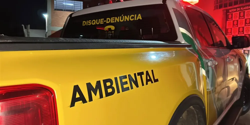 Trabalhador foi autuado em R$ 3.620 pela Polícia Ambiental e levado à cadeia após não pagar fiança