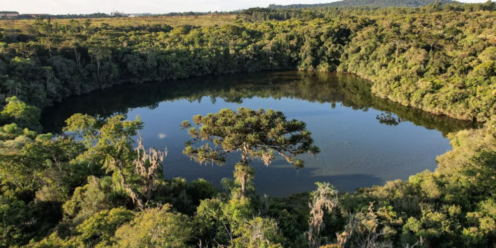 Experiências aproximam visitantes da natureza dos Campos Gerais, enquanto a oferta conjunta dos dois parques permite conhecer diferentes atrativos da região