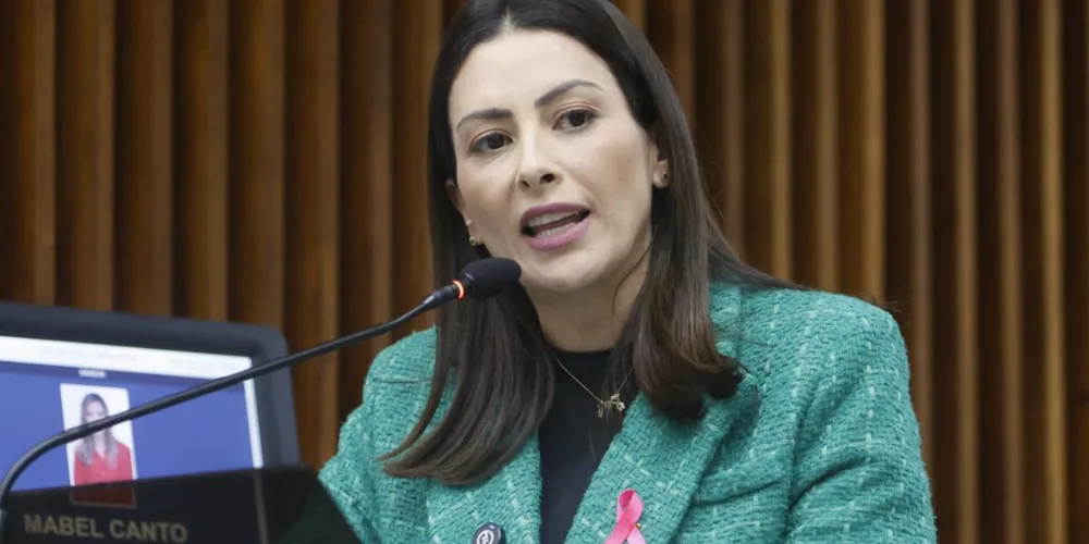 Deputada estadual (PP) protocolou requerimento à Secretaria de Estado da Saúde solicitando providências para garantir o atendimento à população