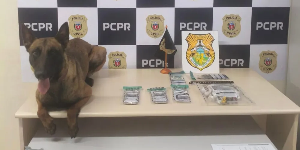Os cães do GOC localizaram a substância entorpecente
