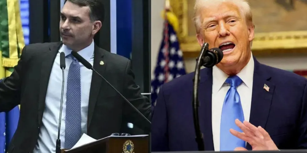 Flávio Bolsonaro e Donald Trump
