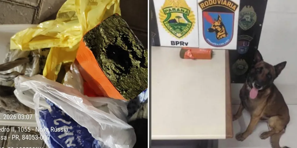 Policiais encontraram um pote plástico que escondia a droga, envolvida em uma meia e sacolas plásticas com sabão em pó