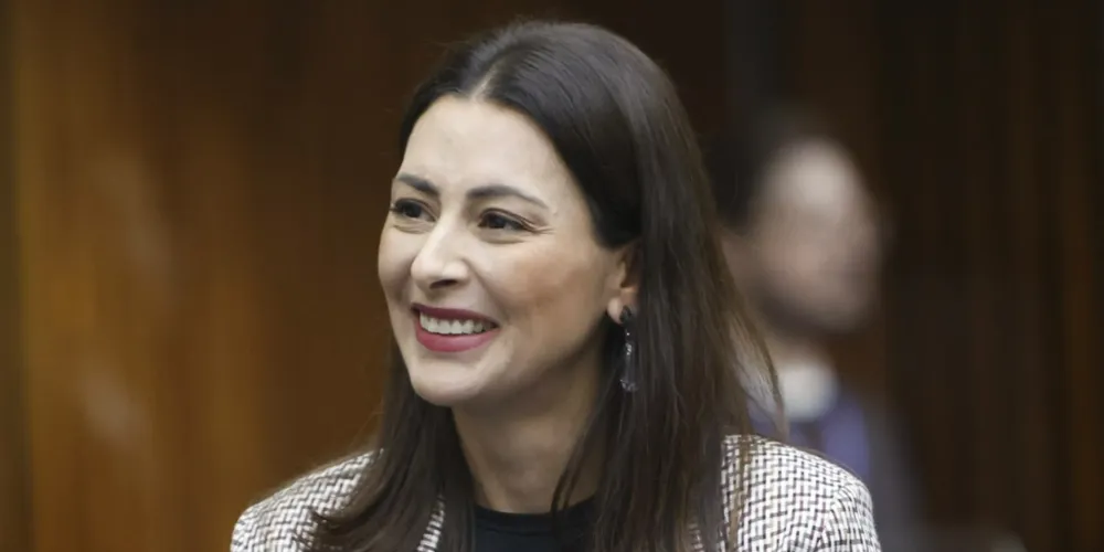 Mabel Canto, deputada estadual, apresentou o projeto na Alep